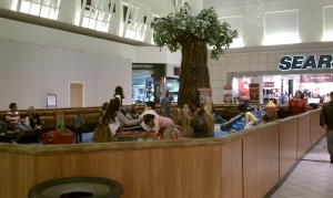 Indoor Play Area